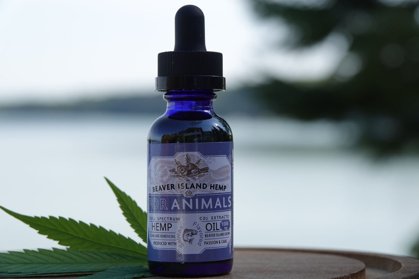 Salmon Flavor Full Spectrum Hemp Oil for Pets